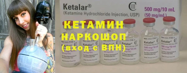 крисы Новозыбков