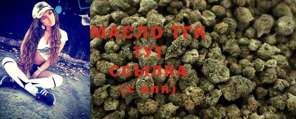 крисы Новозыбков