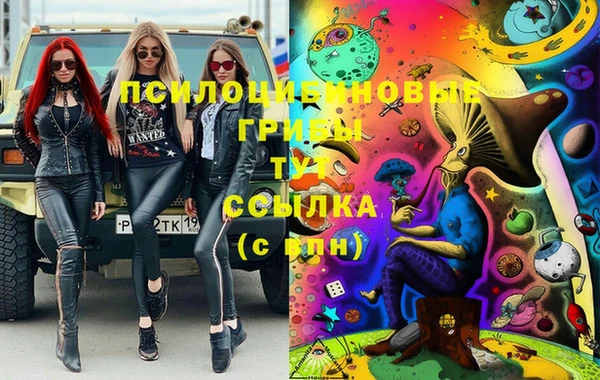 соль курить ск Новодвинск