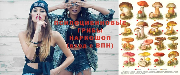 соль курить ск Новодвинск