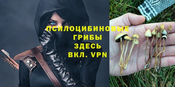 крисы Новозыбков