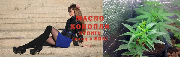 крисы Новозыбков