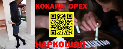 гашик Гатчина