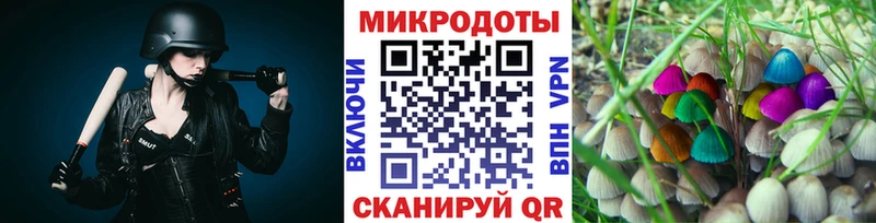 Псилоцибиновые грибы Psilocybe  Конаково 