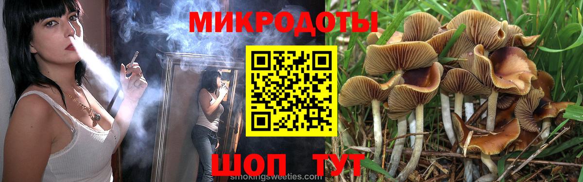 Конаково  Псилоцибиновые грибы GOLDEN TEACHER  Псилоцибиновые грибы Psilocybine cubensis  что такое наркотик  Вход с VPN 